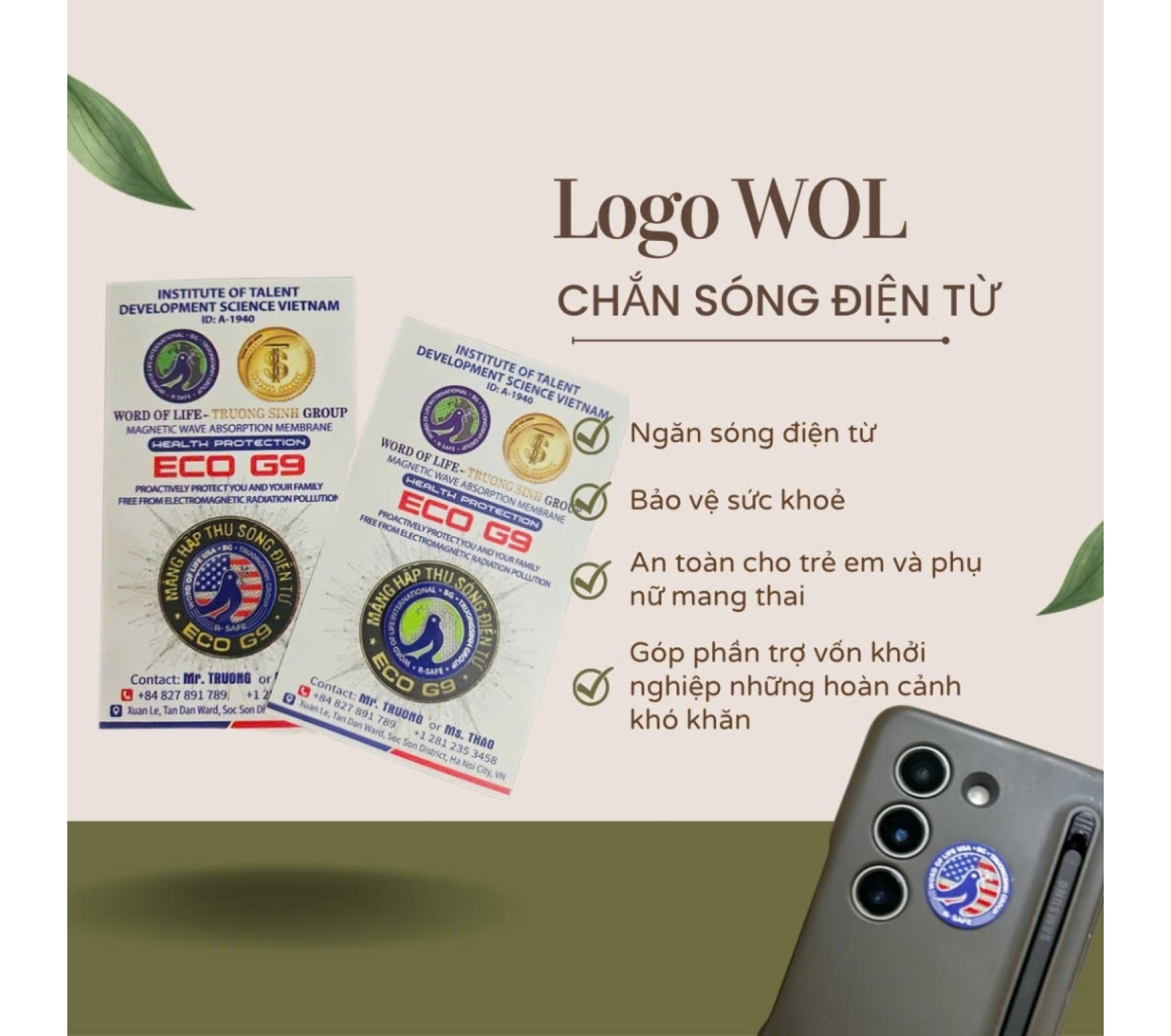 MÀNG HẤP THỤ SÓNG ĐIỆN TỪ