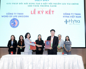 hình ảnh 20