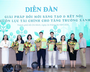 hình ảnh 23